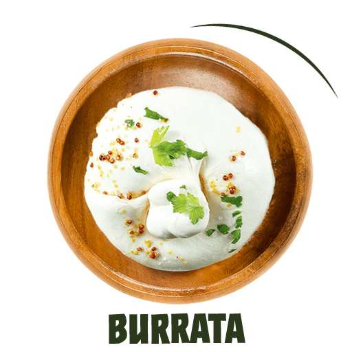 Ingredient burrata